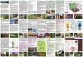 nadl-tuczno2022_back.jpg