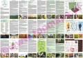 nadl-krzyz2024_back.jpg