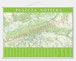 Puszcza Notecka - mapa ścienna